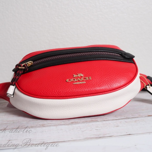 NWT Coach Vale Leather Belt Bag in Colorblock - Picture 6 of 8